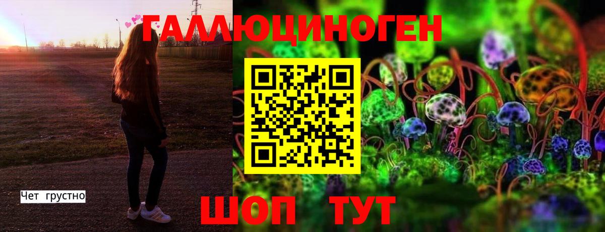 Галлюциногенные грибы Psilocybine cubensis  Вход с VPN  Куйбышев 